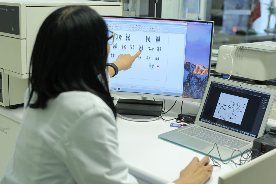 Con este estudio se innovaría en el cuidado y regeneración de los dientes de personas mayores. 
