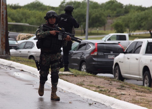 Fuerzas federales 