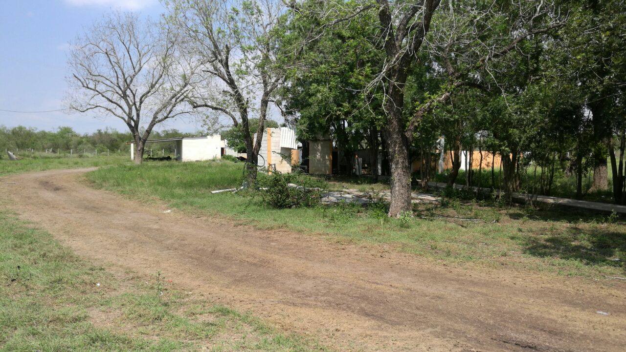 Mueren 5 en enfrentamiento en Padilla, Tamaulipas 