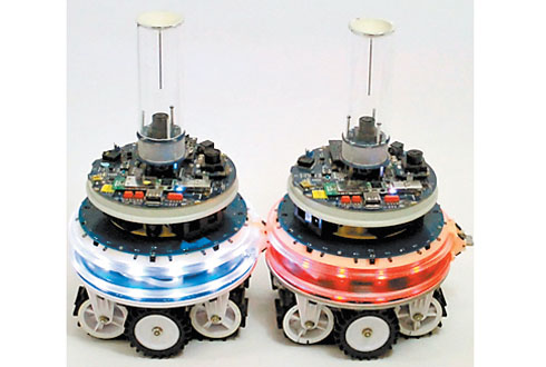 Proyecto FET Open Swarmanoid. 