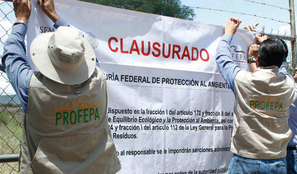 La Procuraduría Federal de Protección al Ambiente en el operativo