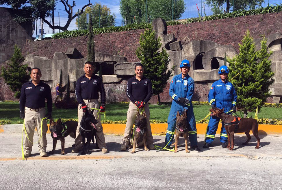 Ayudan en labores de rescate.