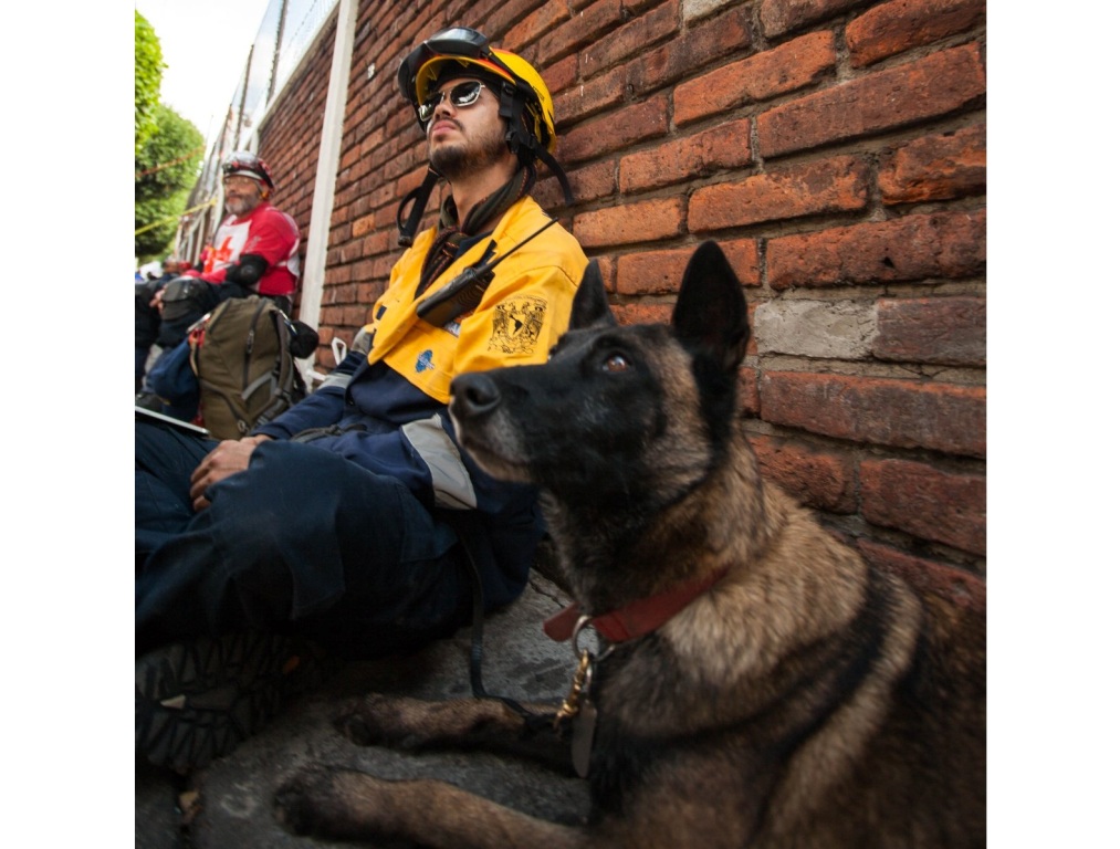 La brigada de binomios de la UNAM realizó 10 asistencias en 72 horas.