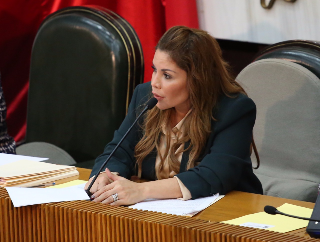 Karina Barrón, diputada independiente.