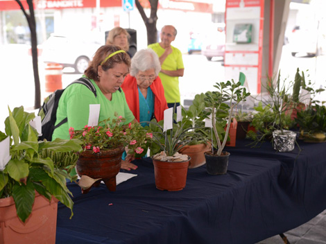 En el evento se realizó un concurso de hortalizas y plantas de ornato.