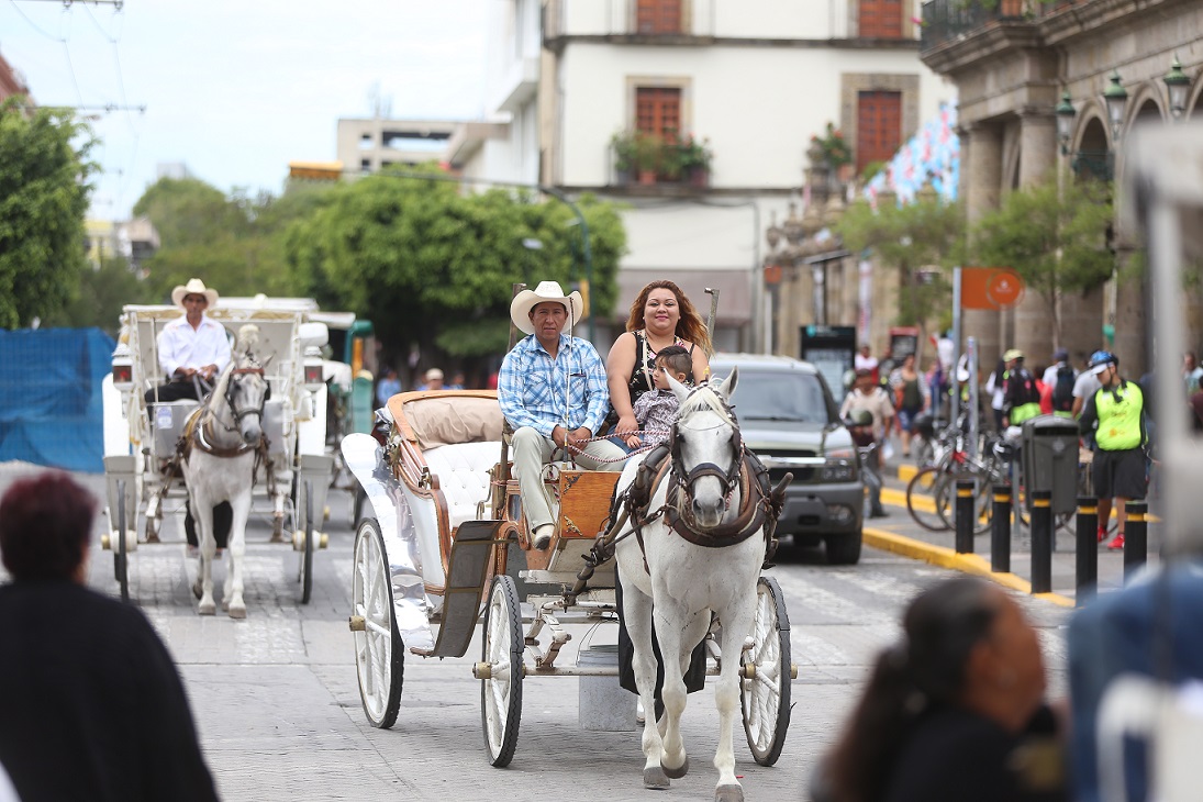 Esta mañana se reunieron decenas de calandrieros para ofrecer paseos cortos gratuitos por el centro de Guadalajara