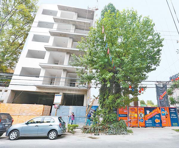 La construcción experimentará un periodo de dinamismo.