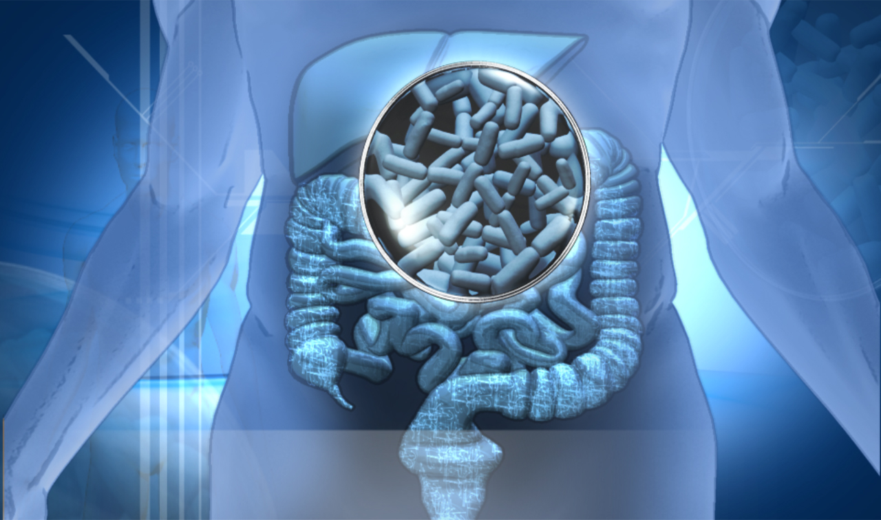 Los probióticos son capaces de restablecer el equilibrio para la salud del cuerpo y son recomendables para nuestra dieta.