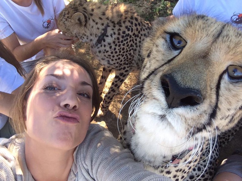 El estudio de la organización concluyó que tomarse selfies con animales silvestres es una forma de crueldad animal.