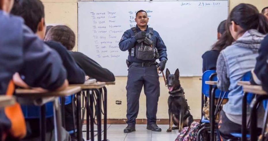 El arma fue asegurada por un elemento.