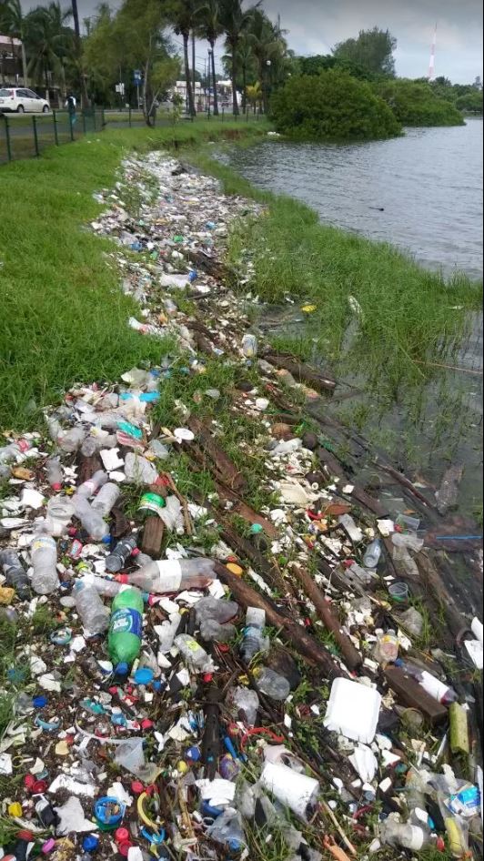 Laguna del Carpintero y la basura acumulada