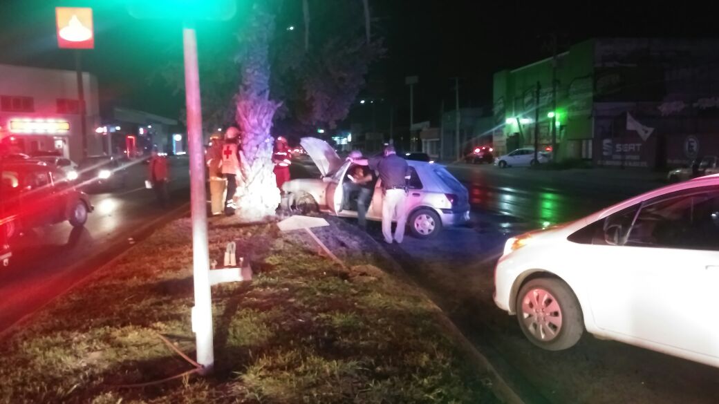 De no ser por una palmera, el conductor hubiera saltado hacía el otro carril. 