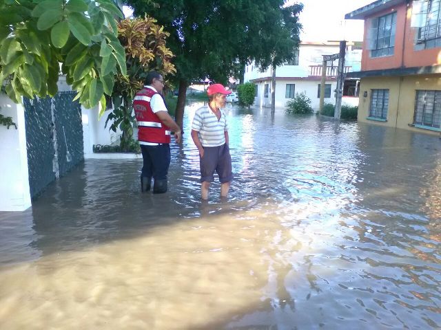 El desbordamiento del río Pánuco causa inundaciones en la Guadalupe Victoria.