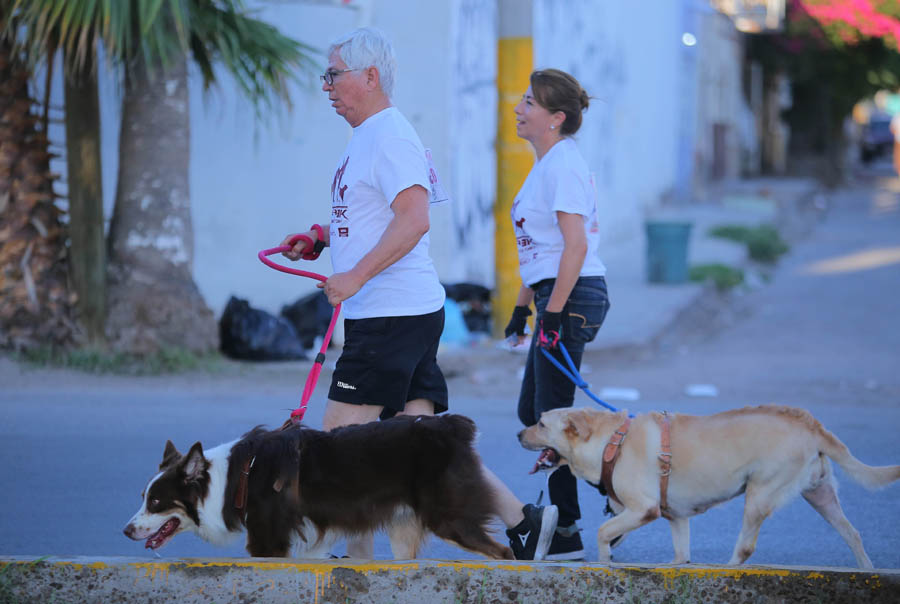 Cerca de 100 personas corrieron la '3k con tu Mascota'.