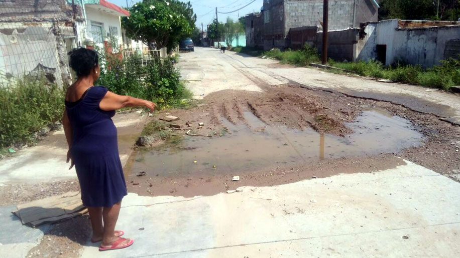 Los charcos generaron rápidamente brote de mosquitos.