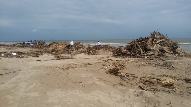 Basura y palizada en playa Miramar