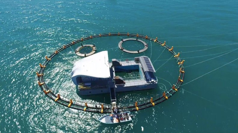 "El Nido" tiene 40 metros de diámetro y se localiza a una distancia de 1.5 millas náuticas de las instalaciones terrestres.