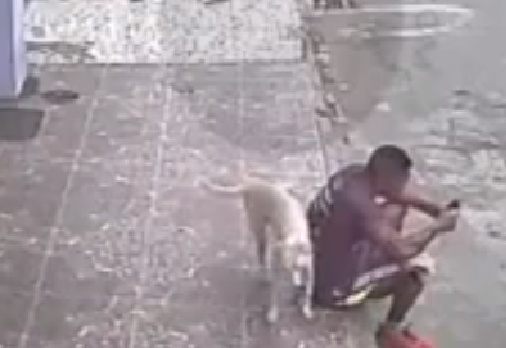 La imagen tomada del video publicado en Facebook, muestra el momento exacto de la gracia del perro.