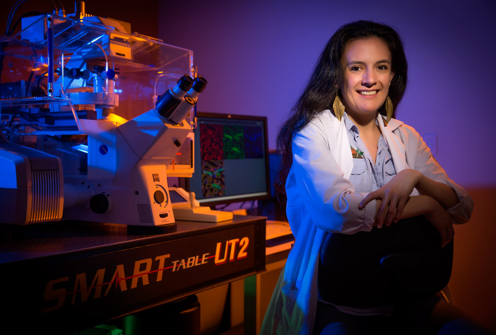 Este microscopio es parte de lo que ayuda a la bióloga Julieta a examinar cromosomas.