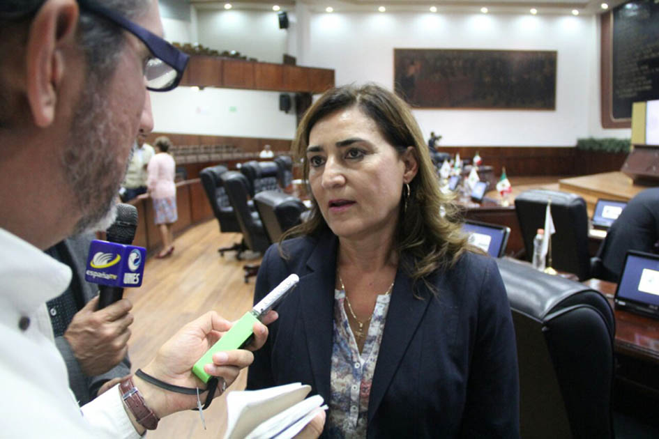 Presidenta Patricia Jiménez indicó,un mínimo de indicaciones que se deben de subsanar.