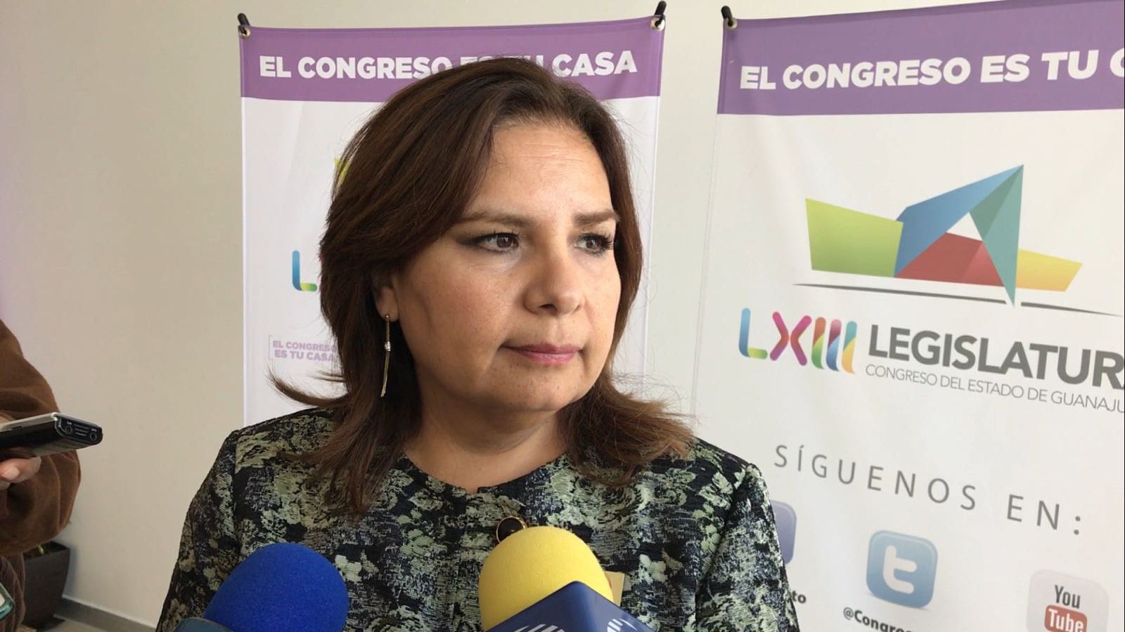 La coordinadora del Partido Verde Ecologista de México Beatriz Manrique Guevara.