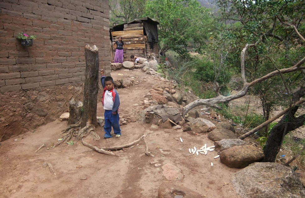 Las comunidades wixárikas viven en condiciones de pobreza y carencia de servicios básicos, por lo que están demandando mayor atención de las autoridad