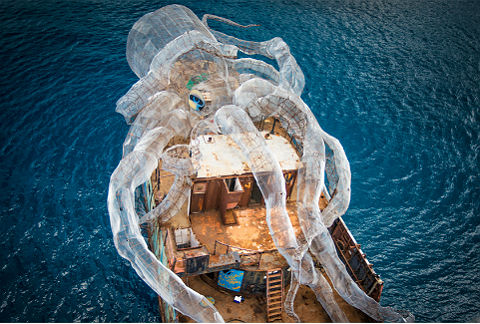 El calamar gigante se hundió junto con el barco para formar un arrecife artificial. 