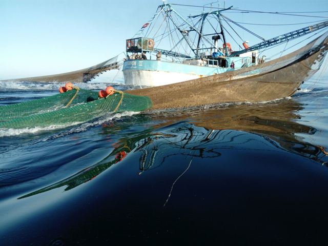 Profepa, aseguramiento de barco con excluidores ilegales