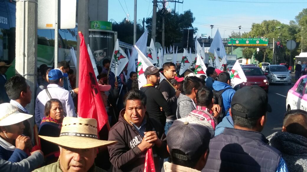 Los campesinos comentaron  estarán tres en la Ciudad de México exigiendo el dinero que se les debe.