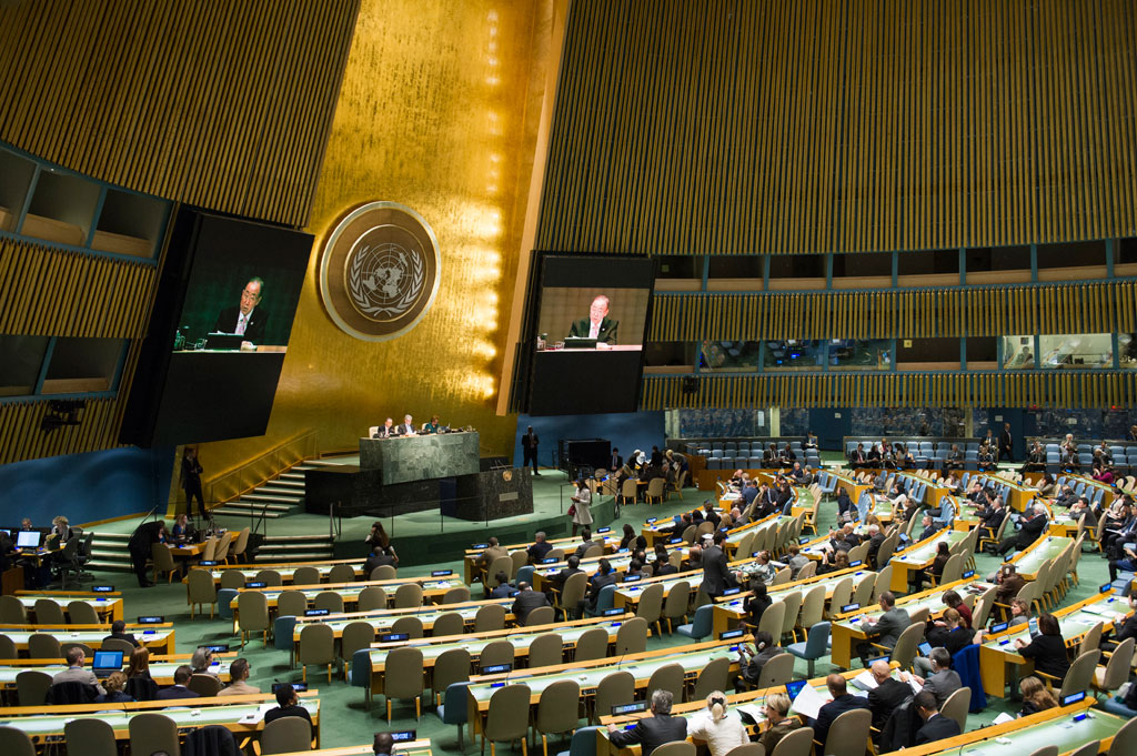 La Asamblea General de la Organización de las Naciones Unidas (ONU).