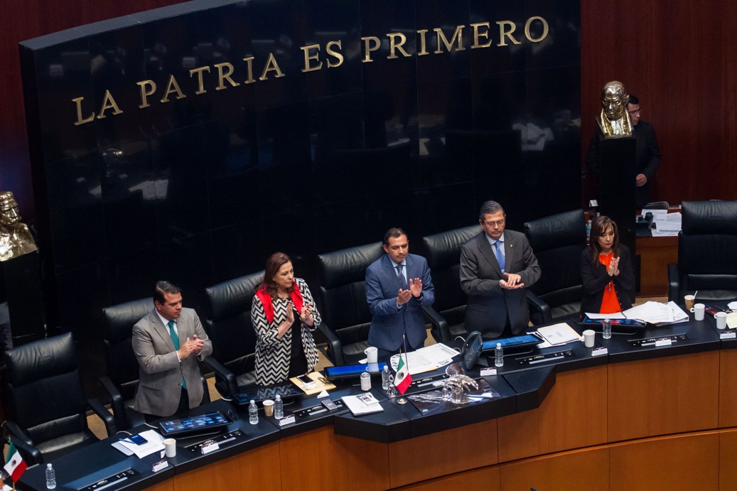 En el pleno del Senado se discutió el despido de Santiago Nieto, ex fiscal de delitos electorales.