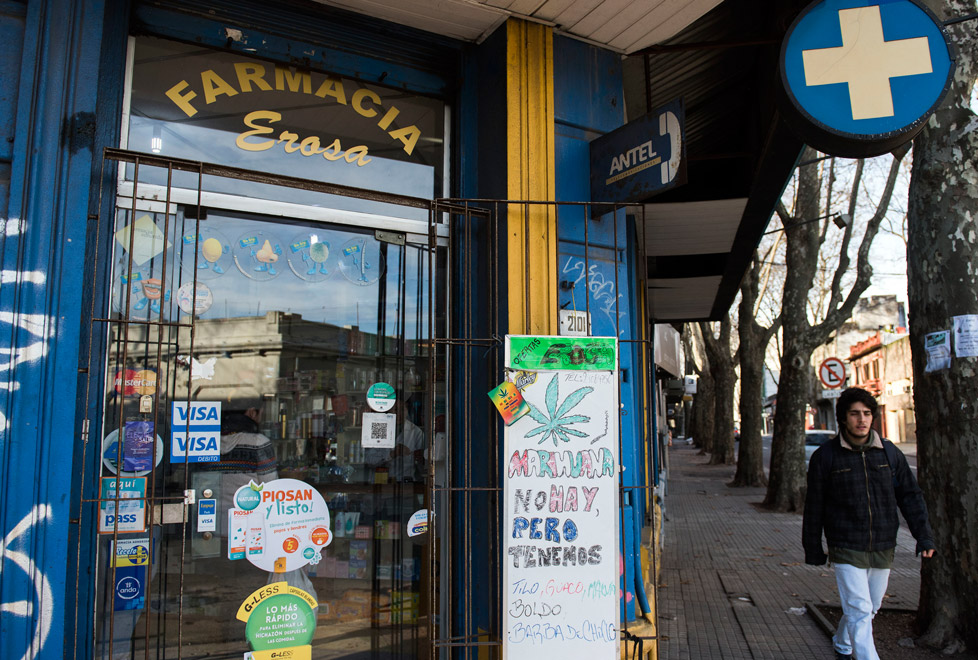 En Uruguay las farmacias han sido orilladas a ya no vender cannabis o solo aceptar efectivo.