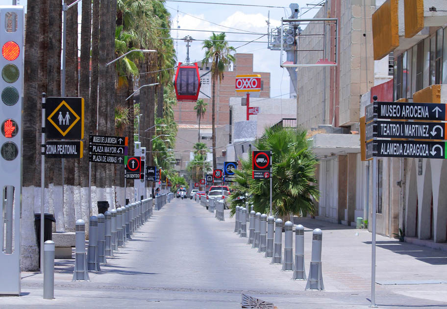 El proyecto contempla reforestar el paseo en un 100%.