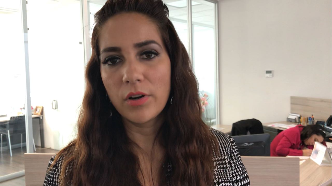 Libia Dennise García Muñoz Ledo, presidenta de la Comisión de Gobernación y Puntos Constitucionales