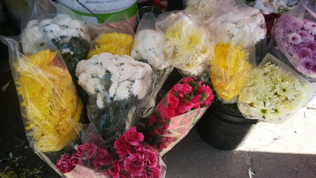 Flores de cempasúchil.