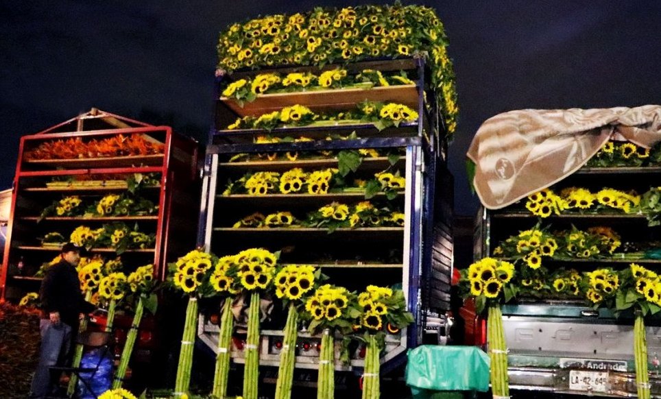 La Central de Abasto realizará su tradicional venta nocturna de flores y hortalizas del 30 de octubre al 2 de noviembre.