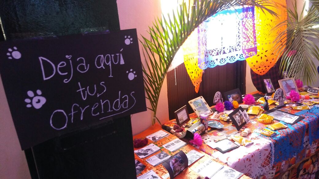 Altar de perros.