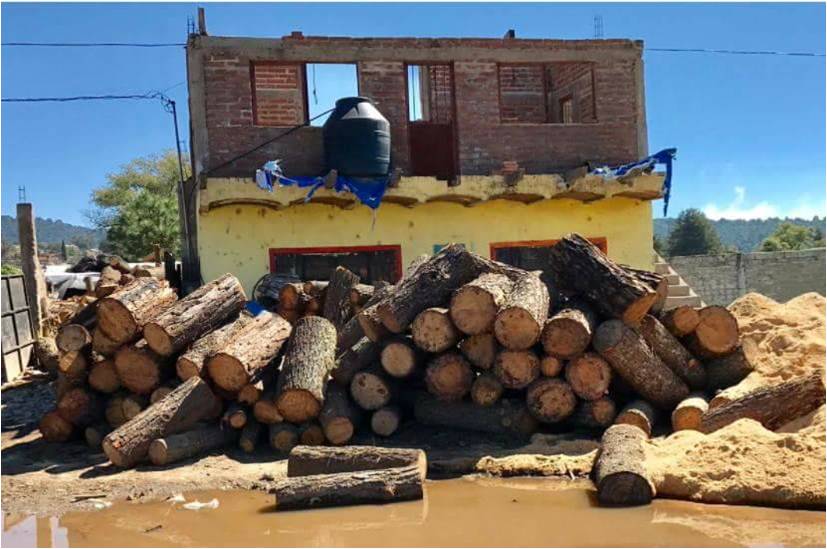 Se ha registrado un deterioro de la masa forestal que ha dado fama a la región.