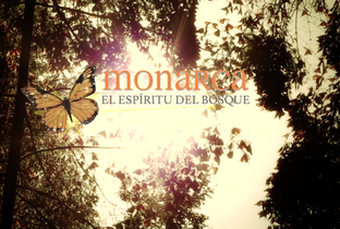 Ve aquí todos los capítulos de Monarca: El Espiritú del Bosque.
