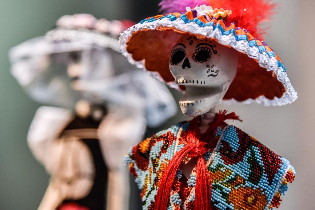 La calavera es retratada del pecho hacia arriba con una expresión de felicidad en el rostro y ataviada con un amplio sombrero adornado con plumas y fl