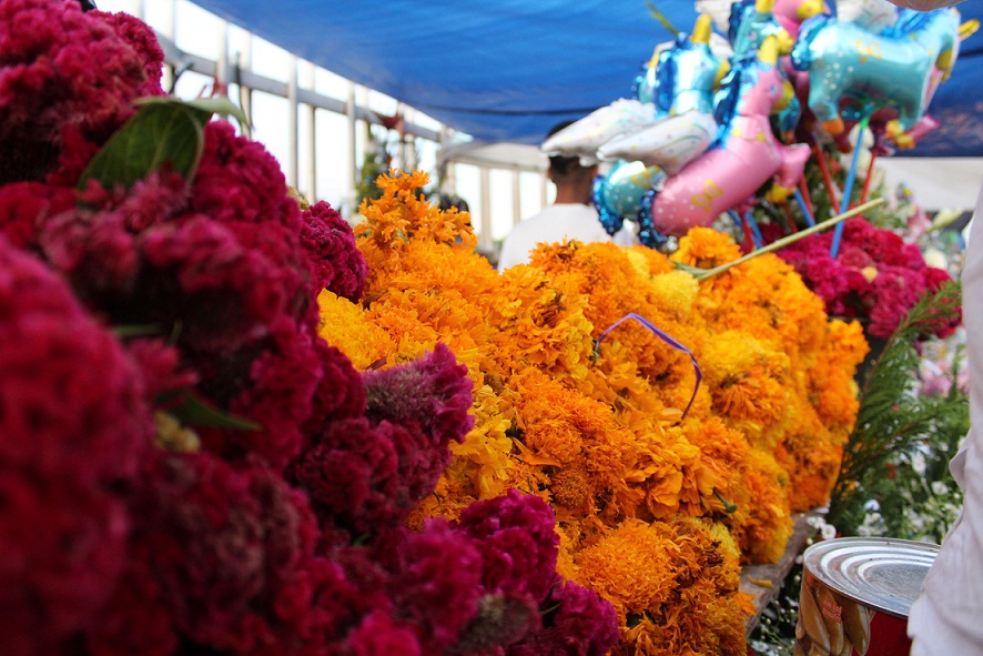 Las flores de cempasúchil son las más vendidas en esta temporada. 