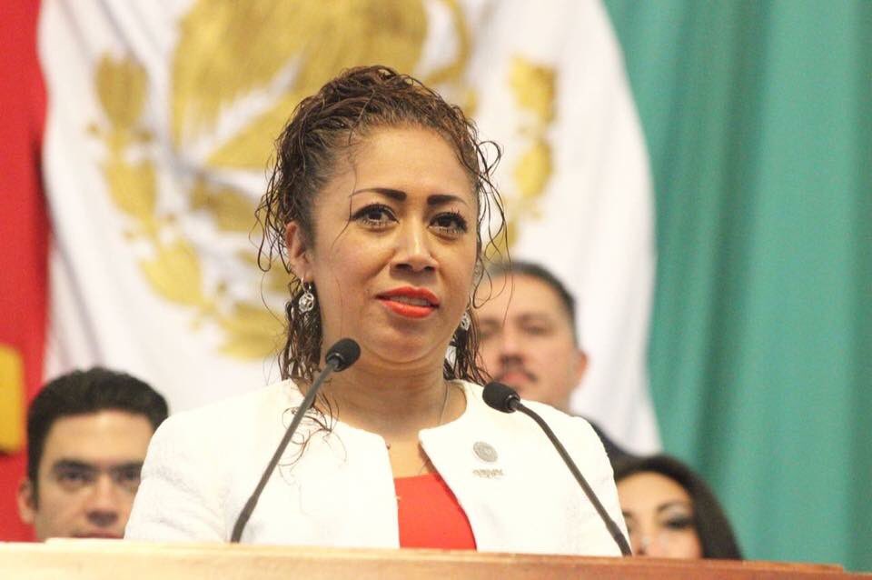 La diputada Rebeca Peralta dijo que analizan los perfiles de los 12 candidatos a la presidencia de la CDHDF.