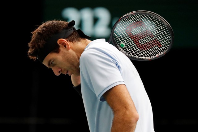 Del Potro cayó en los cuartos de final del Masters 1000 de París