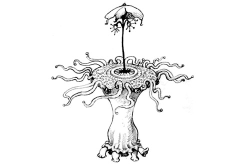 Formas extraterrestres. 