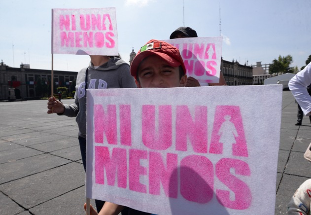 El SIESVIM cuenta con 272 indicadores organizados en cuatro temáticas principales.