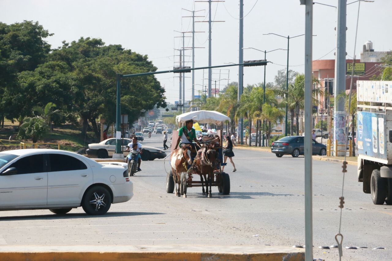 Carretoneros 