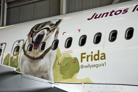 Además de la imagen, el avión tiene las leyendas "Fuerza México" y "Juntos Levantamos el Vuelo".