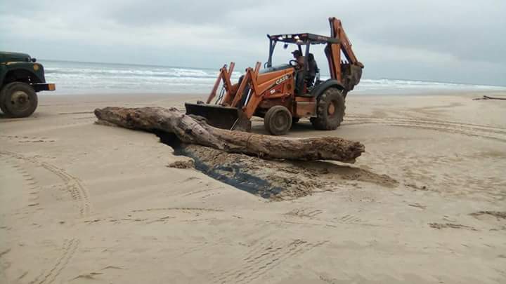 Limpieza en playa Miramar 