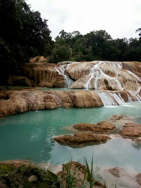 El río Agua Azul se deriva en dos afluentes: uno que lleva al sitio turístico de las cascadas de Agua Azul y el otro que rodea esa zona.