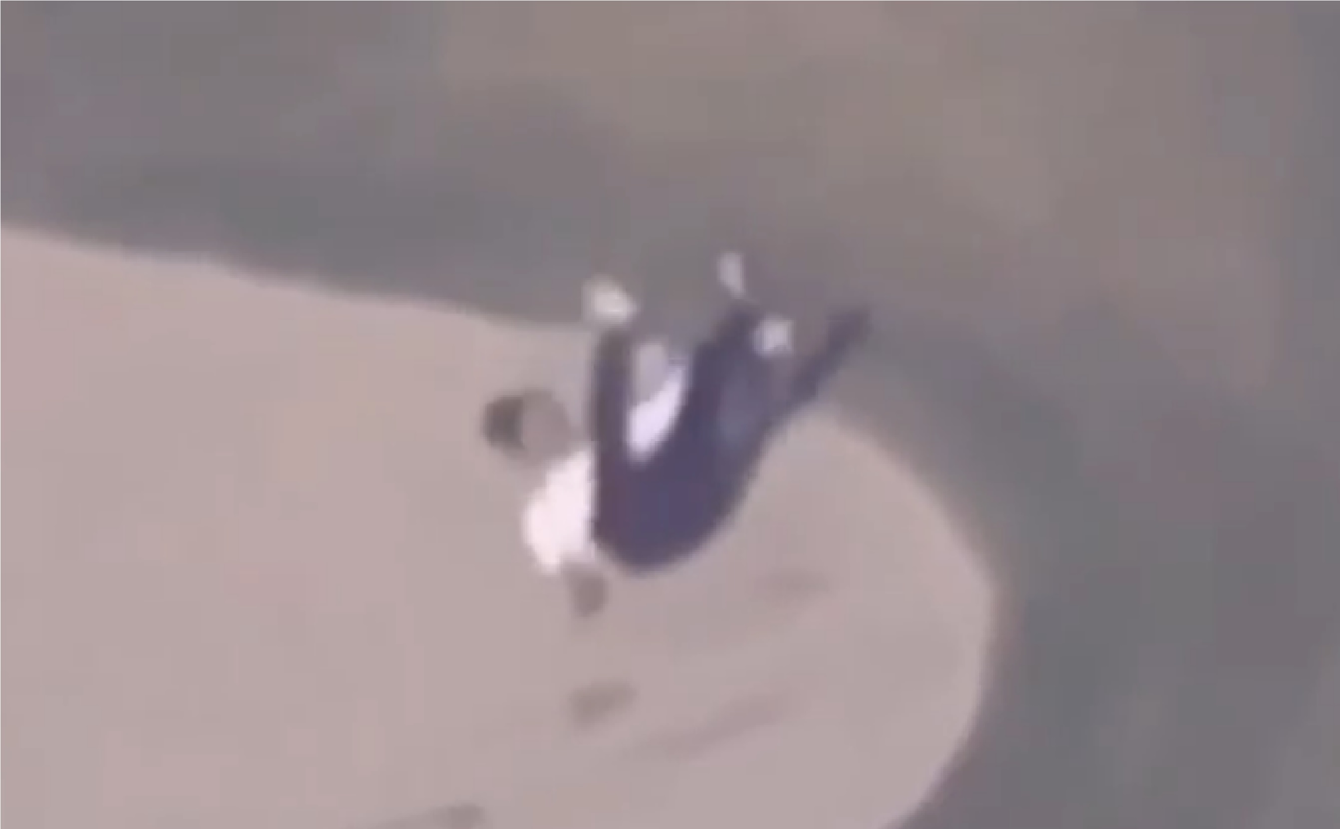 Ambos mandatarios habían jugado previamente con el golfista japonés Hideki Matsuyama, actual el cuarto mejor del mundo.